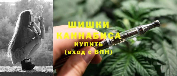 apvp Арсеньев