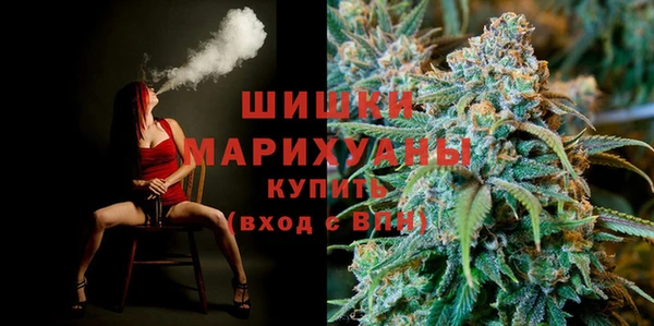 PSILOCYBIN Армянск