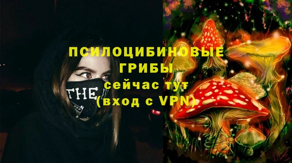 PSILOCYBIN Армянск