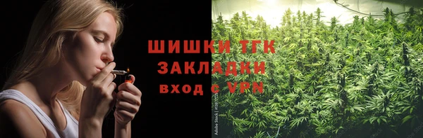 PSILOCYBIN Армянск